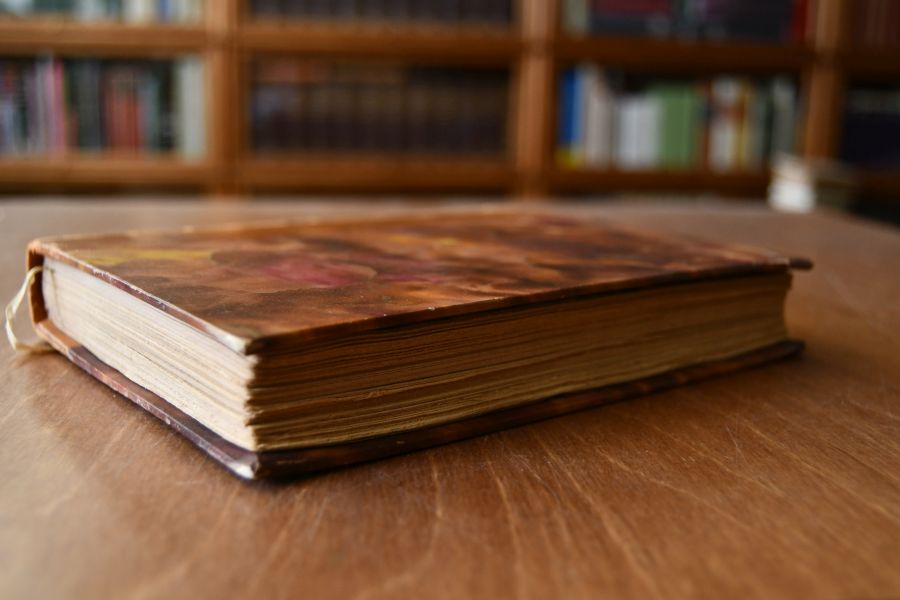 L`Education politique de Louis XIV.