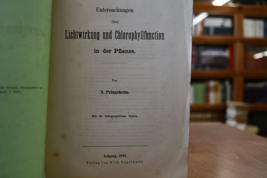 Untersuchunghen über Lichtwirkung und Chlorophyllfunction in der Pflanze.