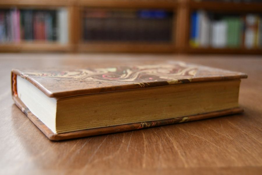 Problematica da Historia Literaria.