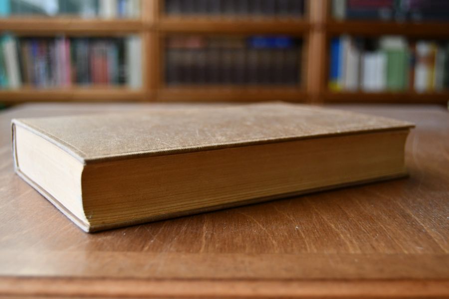 Der Aufstieg der wissenschaftlichen Philosophie.