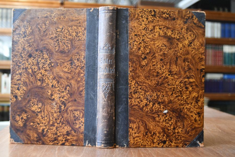 Ruodlieb, der älteste Roman des Mittelalters, nebst Epigrammen.Mit Einleitung, Anmerkungen und Glossar. Beigebunden Moriz Heyne, Rudlieb, Uebertragung des ältesten deutschenHeldenromans,Leipzig,Hirzel,1897, VI,95 S.