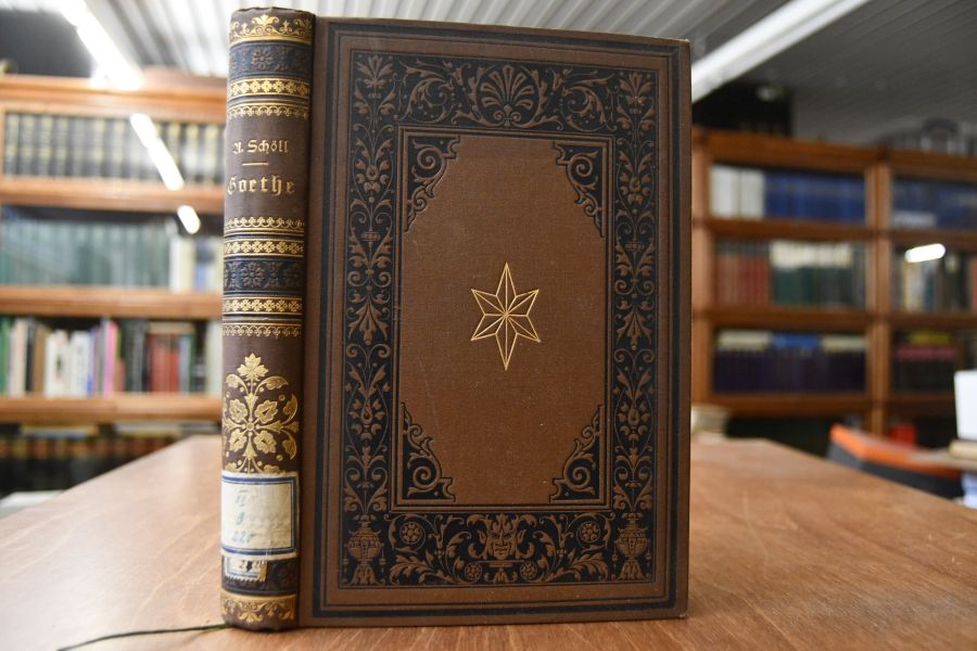 Goethe in den Hauptzügen seines Lebens und Wirkens. Gesammelte Abhandlungen.