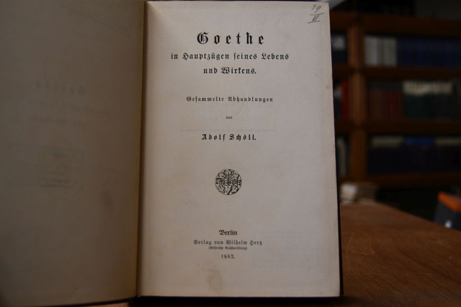 Goethe in den Hauptzügen seines Lebens und Wirkens. Gesammelte Abhandlungen.