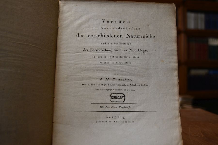 Versuch die Verwandschaften der verschiedenen Naturreiche und die Stuffenfolge der Entwickelung einzelner Naturkörper in einem systematischen Netz anschaulich darzustellen.