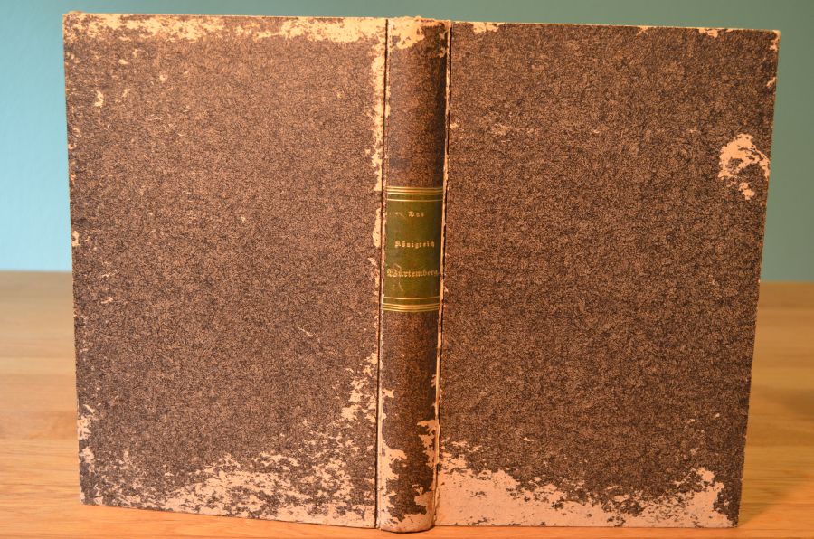 Das Königreich Württemberg nebst den von ihm eingeschlossenen Hohenzollern`schen Fürstenthümern in ihren Naturschönheiten, ihren merkwürdigsten Städten, Badeorten, Kirchen und sonstigen vorzüglichen Baudenkmalen für den Einheimischen und Fremden dargestellt.