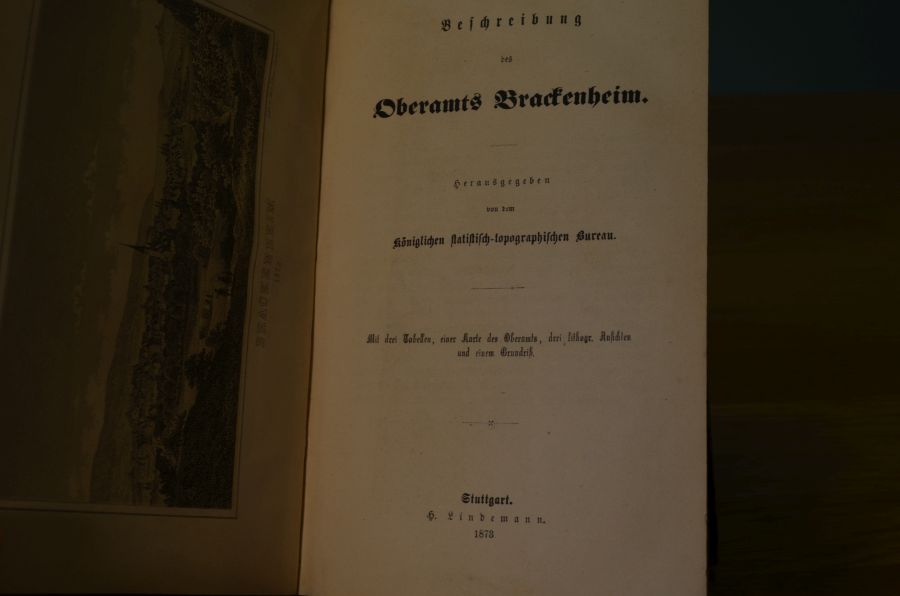 Beschreibung des Oberamts Brackenheim.