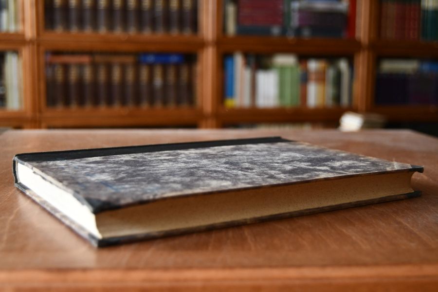Pathologie und Therapie der Lungenschwindsucht.