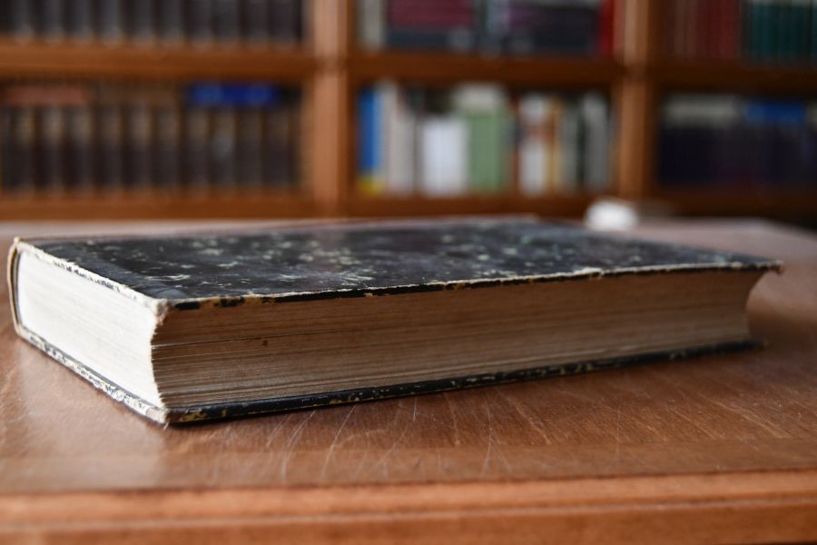 Zeitgenossen. Erzählungen, Charakteristiken und Kritiken. Gesammelte Feuilletons. In zwei Bänden (komplett).