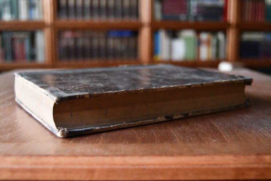 Handbuch der Krankheiten der weiblichen Geschlechtsorgane.