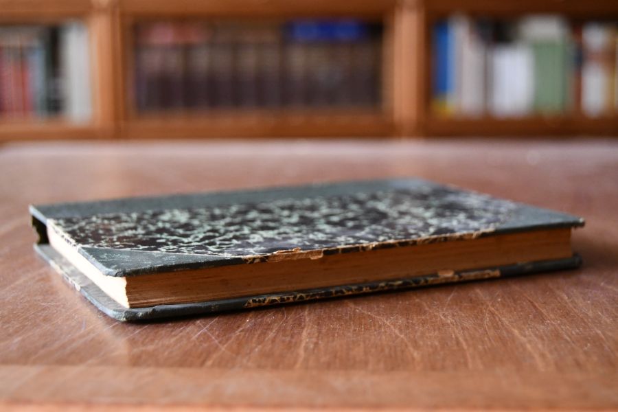 Dicionario de verbos irregulares, impessoiais e defectivos portugueses conjugados nos seus tempos simples e compostos com os respectivos verbos auxiliares, contendo os modelos dos verbos regulares, as raizes dos tempos primitivos etc.