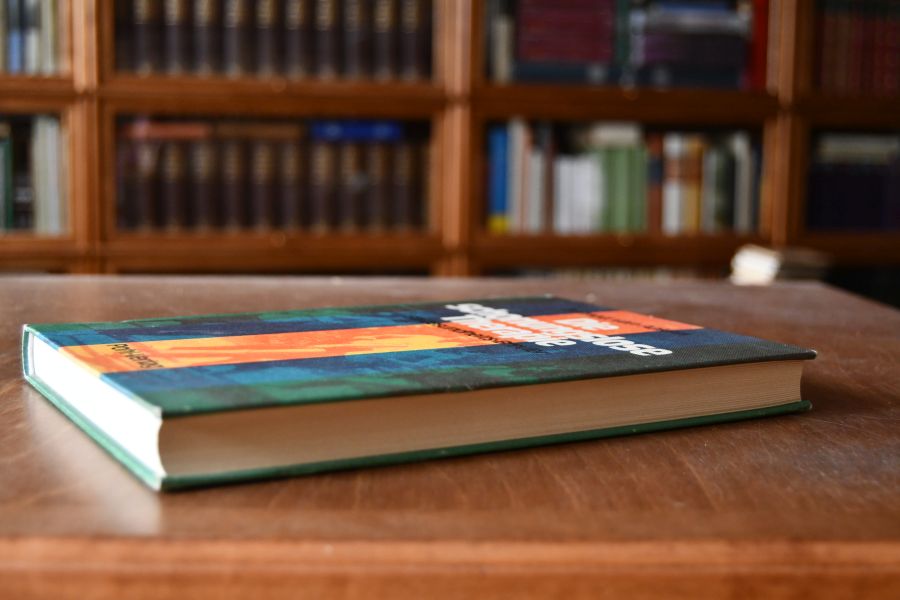 Die schonungslose Therapie. Ein Gesundheits-Brevier.