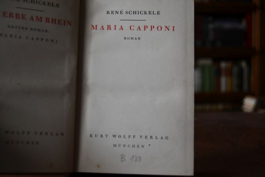 Das Erbe am Rhein. Erster Roman Maria Capponi.