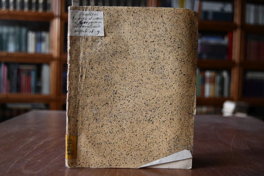 Disputatio physica Quaestionem geminam An aliqua species corporum naturalium de novo orta sit, et an aliqua perierit? Beigebunden Dissertation Joh. Wolf Dissertatione physica de mirandis phantasiae viribus numine divino favente, in celeberrima leucori.