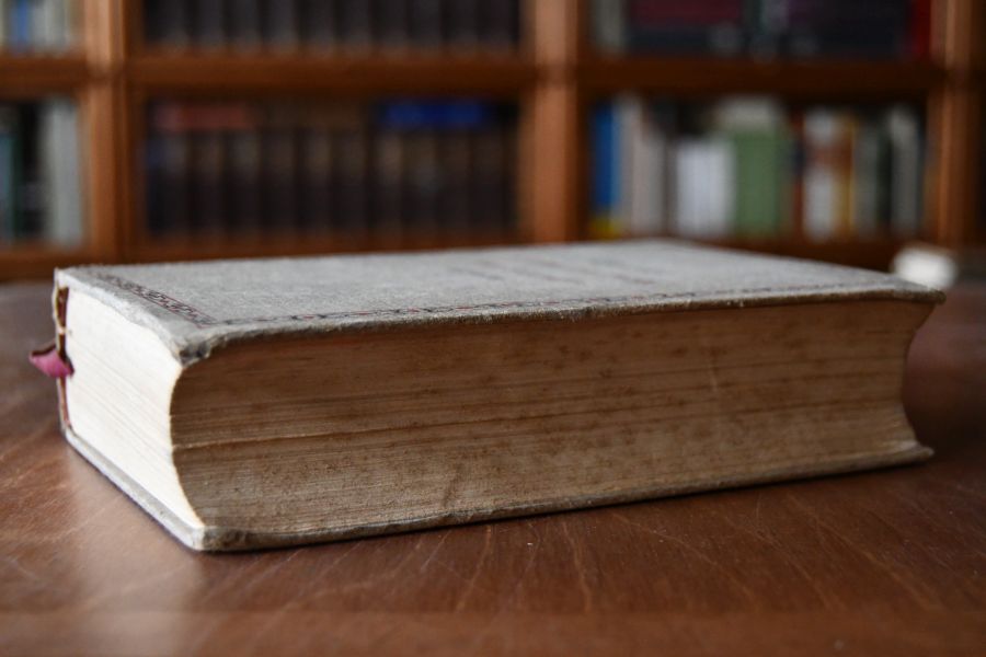 Goethe in vertraulichen Briefen seiner Zeitgenossen. 1749-1803.