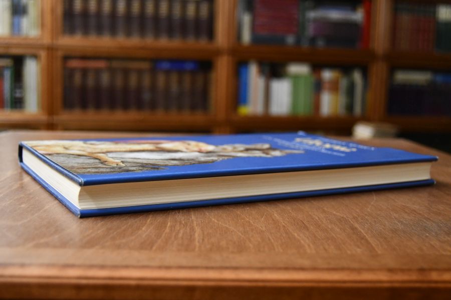 Ein wahrhaft kostbares und ebenso bekömmliches wie kurzweiliges Buch über die beste Staatsverfassung und die neue Insel Utopia. Verfasst von dem hochberühmten Thomas Morus Bürger der weltbekannten Stadt London/unter Mithilfe des Magisters Peter Aegid aus Antwerpen. Mit sechzehn zeitnahen Bildern von Michael Mathias Prechtl Maler zu Nürnberg.