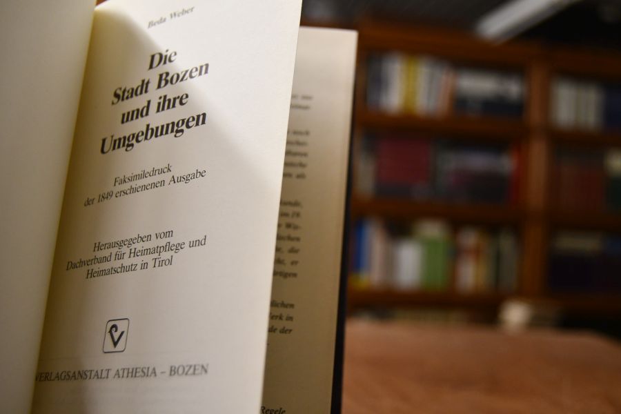 Die Stadt Bozen und ihre Umgebungen.