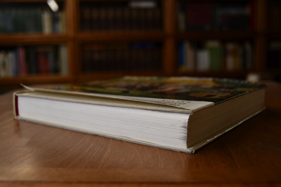 Aus der Räuber- und Franzosenzeit Schwabens. Die Erinnerungen des schwäbischen Malers aus den Jahren 1780 - 1840. Neu herausgegeben von Max Zengerle