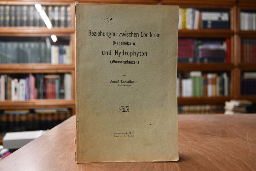 Beziehungen zwischen Coniferen (Nadelhölzern) und Hydrophyten (Wasserpflanzen).