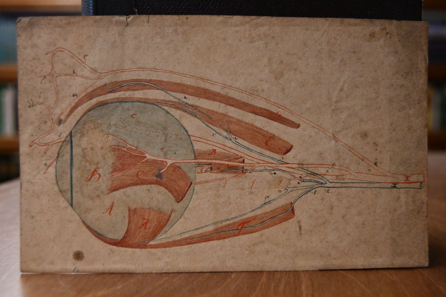 Die Krankheiten des Auges für praktische Ärzte geschildert. 3 Bde. in einem Band. 1. Die Krankheiten der Binde- und Hornhaut; 2. Die Krankheiten der Sclera, Iris, Chorioidea und Linse; 3. Die Krankheiten des Glaskörpers, der Netzhaut, der Augenmuskeln, der Augenlider, der Thränenorgane und der Orbita.