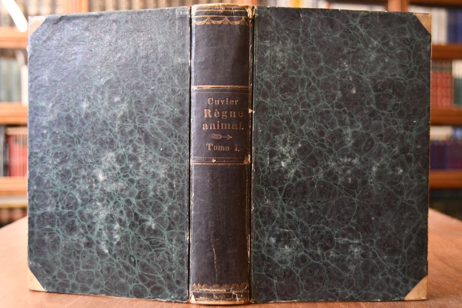 Le règne animal distribué d`après son organisation, pour servir de base à l`histoire naturelle des animaux et d`introduction à l`anatomie comparée. Tome I (apart).