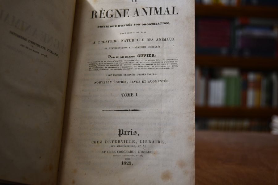 Le règne animal distribué d`après son organisation, pour servir de base à l`histoire naturelle des animaux et d`introduction à l`anatomie comparée. Tome I (apart).