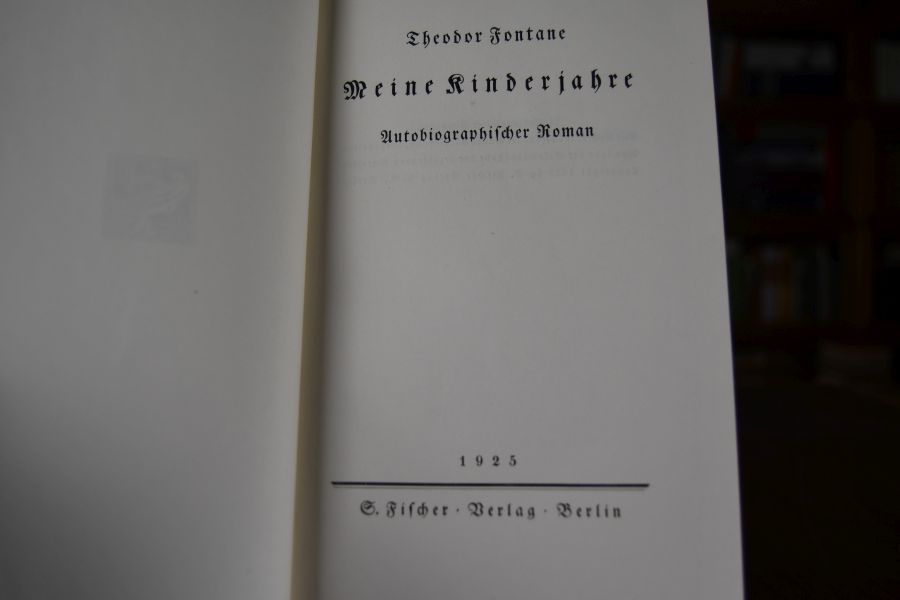 Meine Kinderjahre. Autobiographischer Roman.
