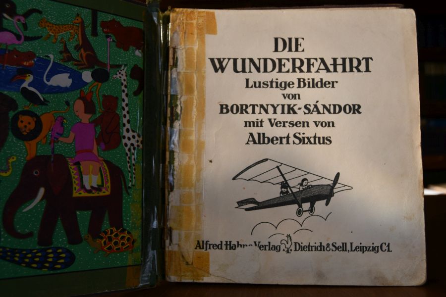 Die Wunderfahrt.