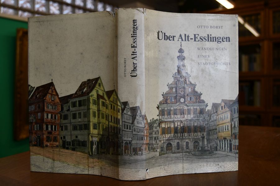 Über Alt-Esslingen. Wandlungen eines Stadtgesichts.