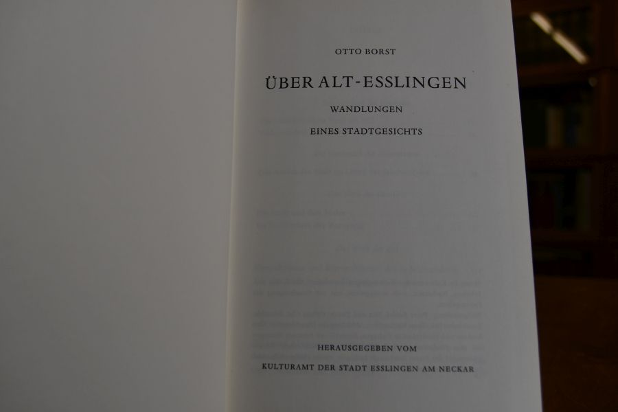 Über Alt-Esslingen. Wandlungen eines Stadtgesichts.
