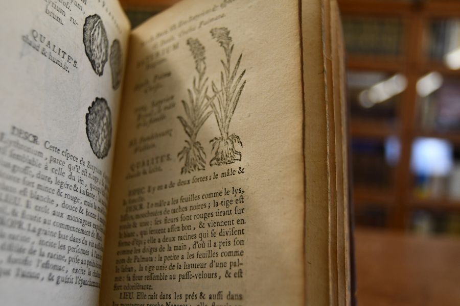Histoire des plantes de l`Europe, et des plus usitées qui viennent d`Asie, d`Afrique & d`Amerique. Où l`on voit leurs figures, leurs noms, en quel temps elles fleurissent, & le lieu où elles cruissent. Avec un abrégé de leurs qualités & de leurs vertus spécifiques. ; Divisée en deux tomes, & rangée suivant l`ordre du Pinax de Gaspard Bauhin. Tome Premier (apart).