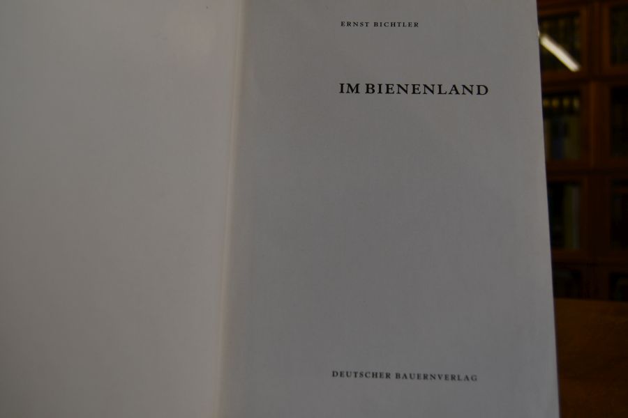 Im Bienenland.