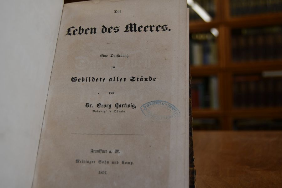 Das Leben des Meeres. Eine Darstellung für Gebildete aller Stände.