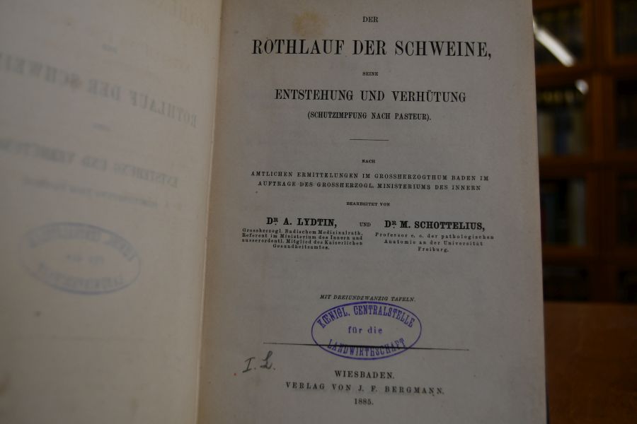 Der Rothlauf der Schweine, seine Entstehung und Verhütung (Schutzimpfung nach Pasteur).