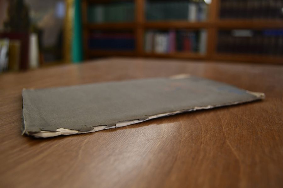 Janus. Jahrbücher deutscher Bildung, Gesinnung und That. Was wir wollen.
