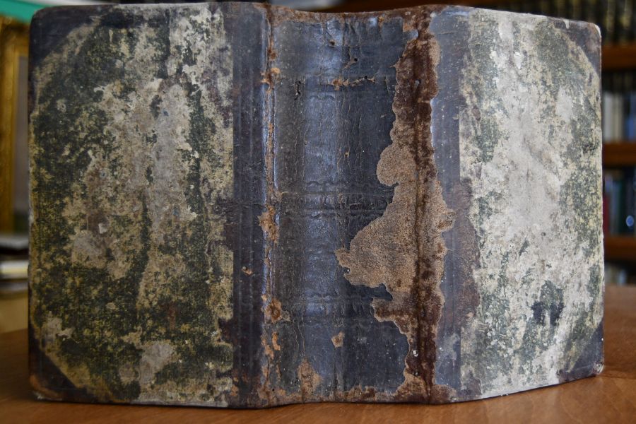 Die Bibel das ist die ganze Heilige Schrift des Alten und Neuen Testaments nach der teutschen Übersetzung D. Martin Luthers mit eines jeden Kapitels kurzen Summarien vielen und richtigen Parallelen und einer Vorrede von Magnus Friedrich Roos Herzogl. Würtemb. Rath und Prälaten zu Anhausen.