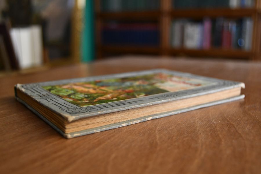 Das schönste Fabelbuch für brave Kinder. Eine Auswahl aus Deutschlands Fabelschatz.