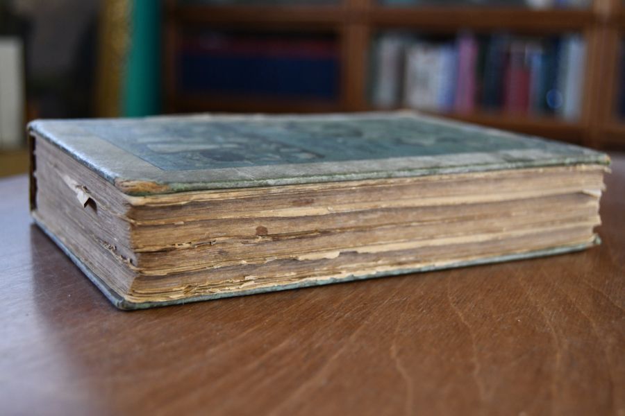Neues Stuttgarter Kochbuch. Bewährte und vollständige Anweisung zur schmackhaften Zubereitung aller Arten von Speisen, Bachwerk, Gefrorenem, Eingemachtem usw.