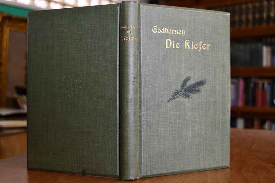 Die Kiefer. Ihre Erziehung, Beschützung und Verwertung aus der Praxis der Revierverwaltung betrachtet.