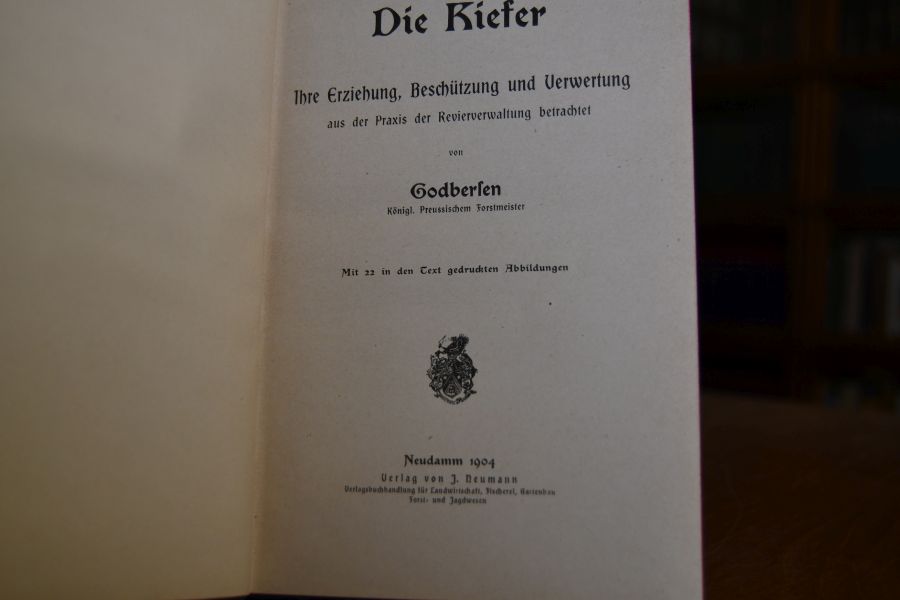 Die Kiefer. Ihre Erziehung, Beschützung und Verwertung aus der Praxis der Revierverwaltung betrachtet.