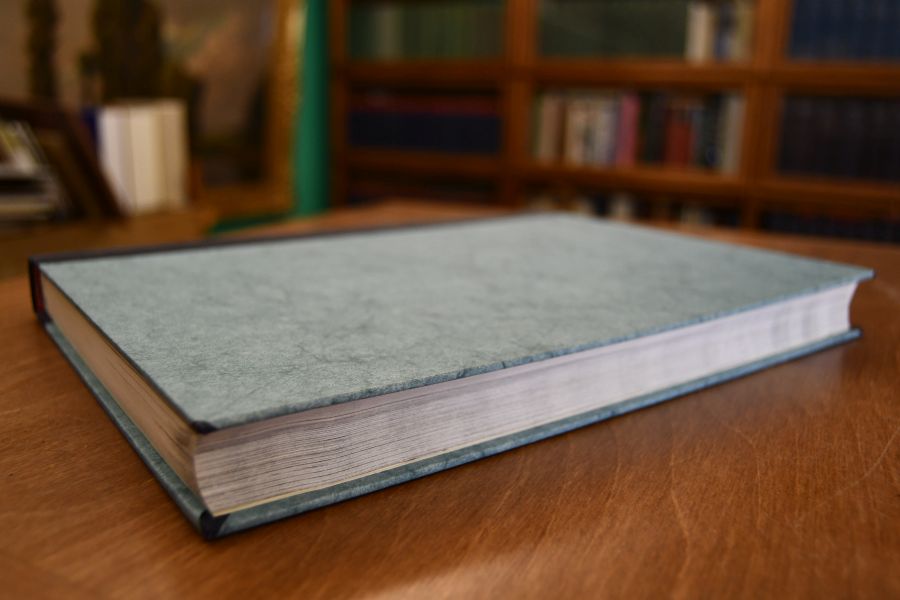 Die Herrschaftsverhältnisse in der Landgrafschaft Baar bin der Wende vom 15. zum 16. Jahrhundert. Ein Beitrag zur Entstehung des Territorialstaates und zur Geschichte des Bauernkriegs.