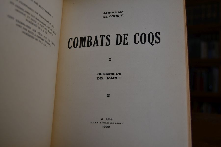 Combats de Coqs.