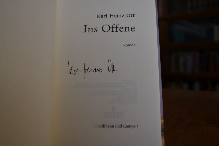 Ins Offene. Roman.