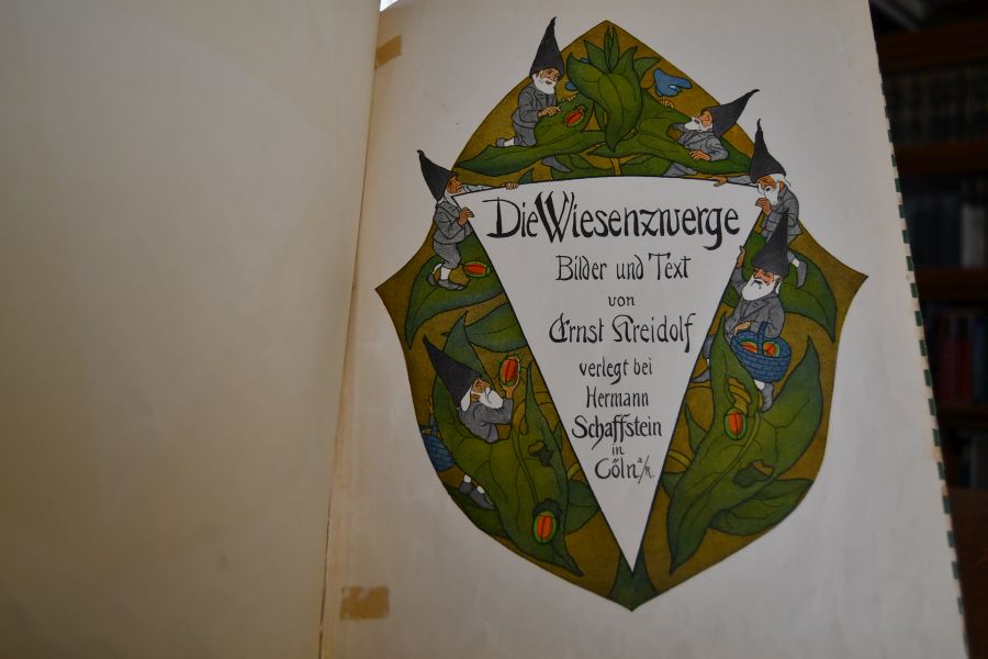 Die Wiesenzwerge.