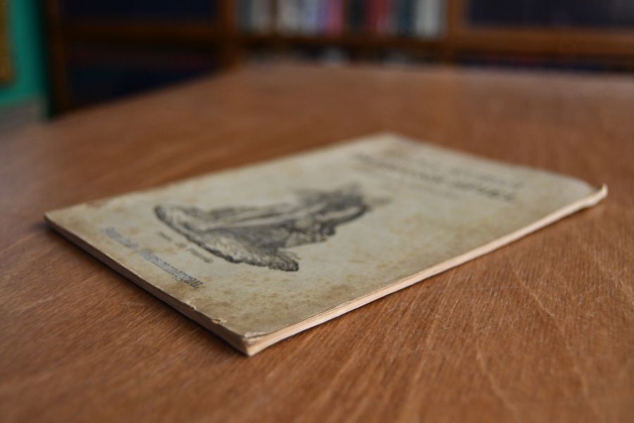 Das grosse Versöhnungsopfer auf Golgatha oder die Leidens- und Todesgeschichte Jesu. Nach den vier Evangelisten mit vorbildlichen Darstellungen aus dem alten Bunde zur Erbauung und Betrachtung mit allerhöchster und allergnädigster Bewilligung aufgeführt zu Oberammergau. Gesangs-Textbuch zum Passionsspiel in Oberammergau 1890.