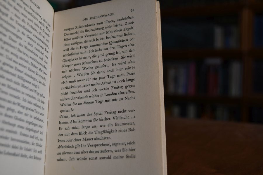 Die Seelenwaage. Roman.