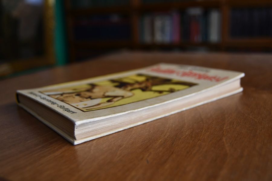Deutscher Sportsgeist. Ein Buch für jeden Deutschen.