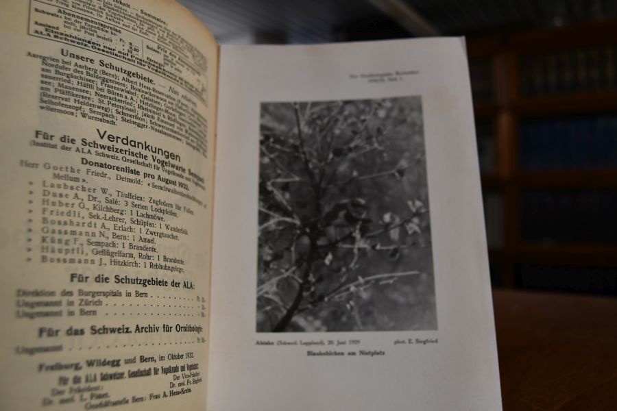 Der ornithologische Beobachter. 30. Jahrgang 1932 (ohne Heft 11 u. 12), 31. Jahrgang - 35. Jahrgang (komplett), 36. Jahrgang (ohne Heft 8, 9), 37. Jahrgang (ohne Heft 9-12), 39. Jahrgang (ohne Heft 1), 40. - 41. Jahrgang (komplett), 42. Jahrgang (ohne Hefte 8-12).