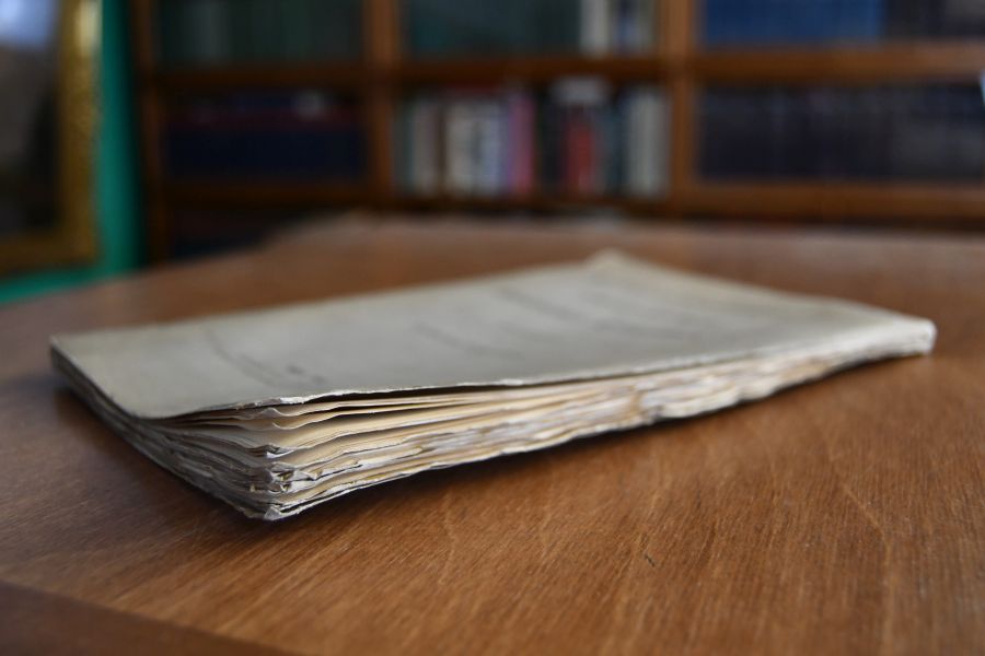 Briefe und Denkschriften zur Vorgeschichte der Belgischen Revolution.