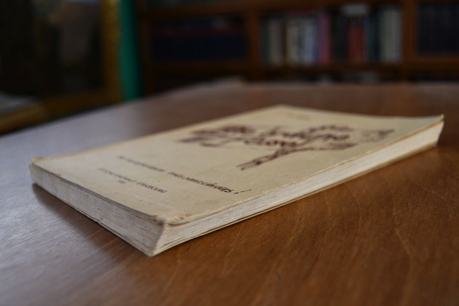 Die braune Fessel. Erlebnisse eines Grenzländers aus dem Zweiten Weltkrieg 1939-1945.