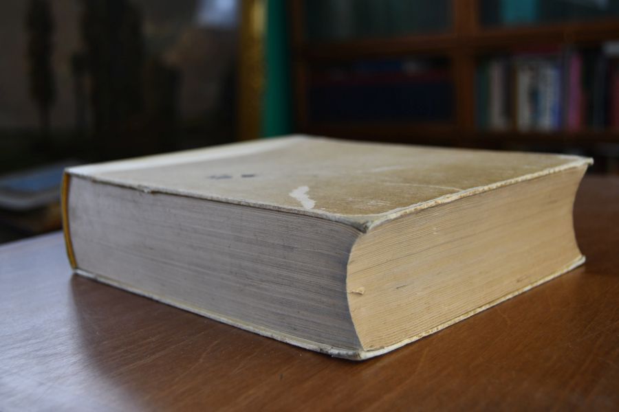 Daniel Meissners Thesaurus Philopoliticus (Politisches Schätzkästlein). Die 830 Städtebilder. 2 Bände in einem Band.